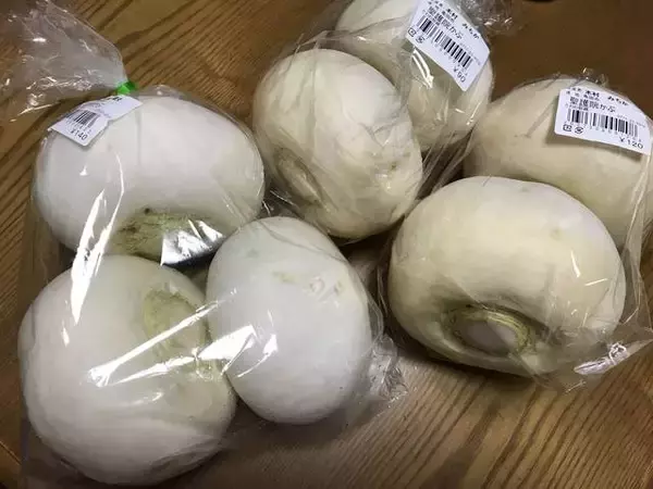 「【京都発酵体験レポート】京野菜や老舗麹など京都食材で冬の味覚『かぶら寿司』を作ってみました☆」の画像