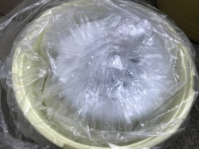 【京都発酵体験レポート】京野菜や老舗麹など京都食材で冬の味覚『かぶら寿司』を作ってみました☆