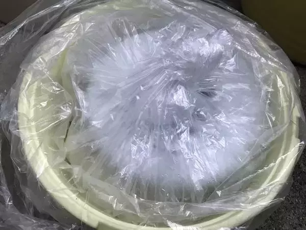 「【京都発酵体験レポート】京野菜や老舗麹など京都食材で冬の味覚『かぶら寿司』を作ってみました☆」の画像