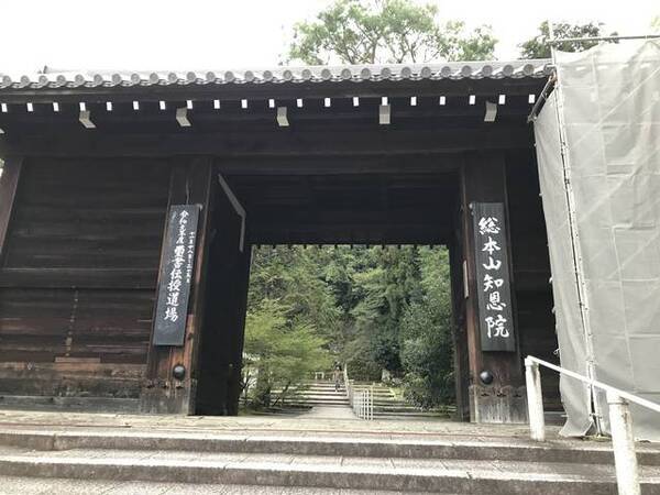 京都神社仏閣めぐり お念仏のふるさと知恩院境内の墓地奥 火除けと縁結びの神さま 濡髪 ぬれがみ 大明神 19年11月13日 エキサイトニュース