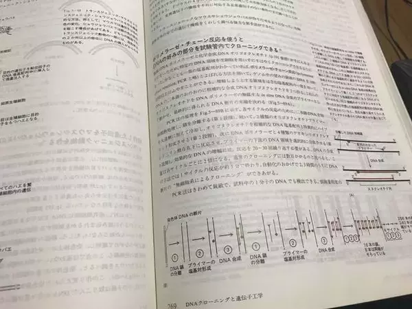 「【朗報】京都が誇る精密機器メーカー『島津製作所』☆時短新型コロナPCR検査キット今月20日発売！」の画像