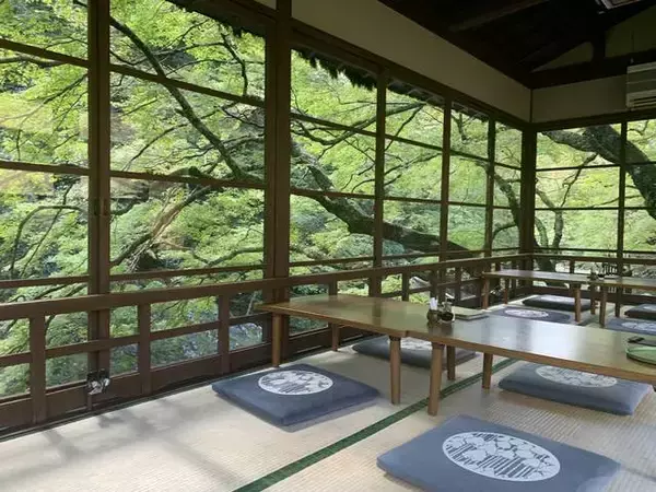 「とっておきの京都の紅葉「高雄編 」紅葉の名所から地元グルメまで」の画像