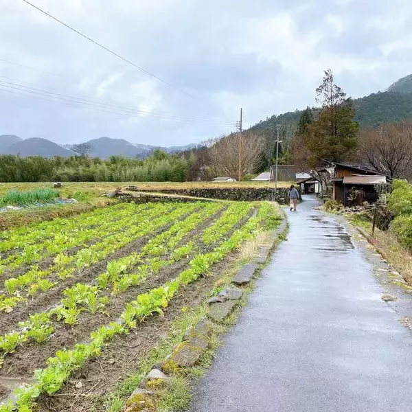 「京都・週末トリップ、大原で野菜ソムリエが営むカフェ『来隣』のデトックスランチ」の画像