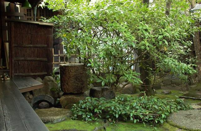 杉本家住宅 ～『歳中覚』の風情ある暮らし　市内最大規模の京町家～【京の夏の旅】