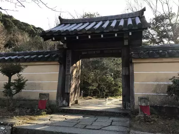 「【秘境】仏像マニア＆ネコ好き必訪！京都最南端の人里離れた穴場寺院「浄瑠璃寺」」の画像