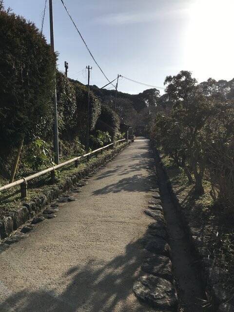 【秘境】仏像マニア＆ネコ好き必訪！京都最南端の人里離れた穴場寺院「浄瑠璃寺」