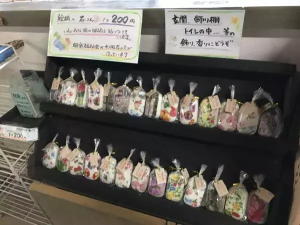 「【秘境】仏像マニア＆ネコ好き必訪！京都最南端の人里離れた穴場寺院「浄瑠璃寺」」の画像