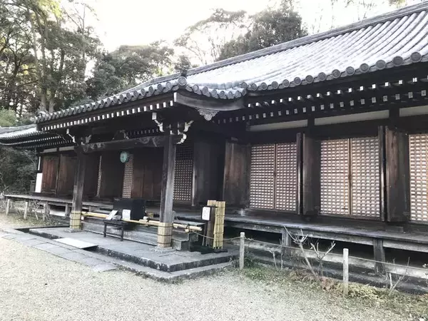 「【秘境】仏像マニア＆ネコ好き必訪！京都最南端の人里離れた穴場寺院「浄瑠璃寺」」の画像