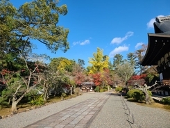 京の紅葉巡りは自転車で行こう。国宝指定第1号の仏像の寺は「紅葉狩り」の穴場！【昭和男子の京都時空紀行】