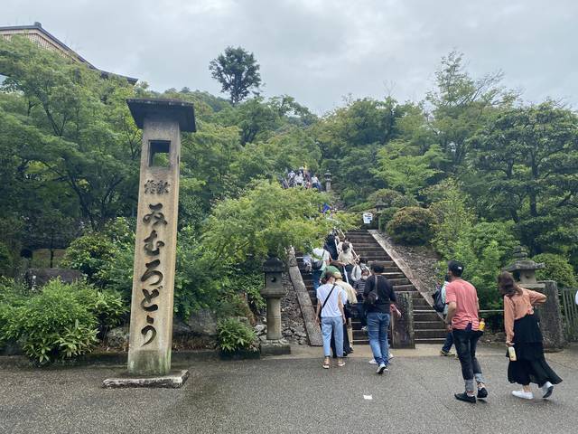 【京都観光】初夏の京都、色とりどりの紫陽花を見に行こう『三室戸寺』