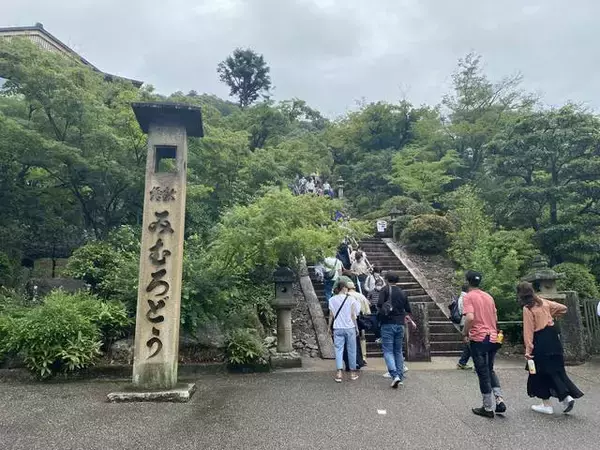「【京都観光】初夏の京都、色とりどりの紫陽花を見に行こう『三室戸寺』」の画像