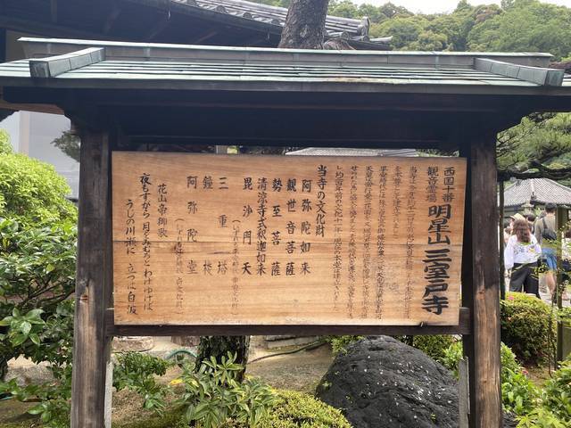 【京都観光】初夏の京都、色とりどりの紫陽花を見に行こう『三室戸寺』