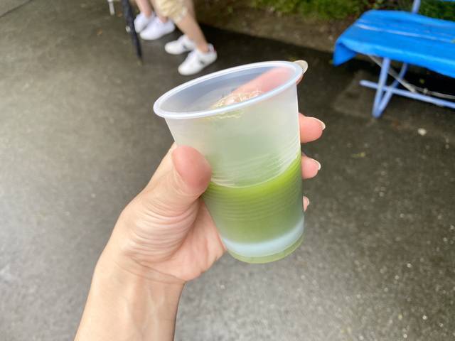 【京都観光】初夏の京都、色とりどりの紫陽花を見に行こう『三室戸寺』