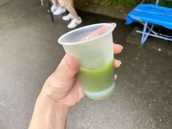 「【京都観光】初夏の京都、色とりどりの紫陽花を見に行こう『三室戸寺』」の画像