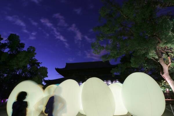 世界遺産をアート空間に チームラボ 東寺 光の祭 Tokioインカラミ 開催 京都 東寺 21年8月6日 エキサイトニュース