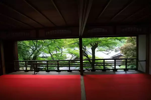 「【あじさいウイーク】約5000株の紫陽花と花手水が楽しめる「柳谷観音楊谷寺」【京都花めぐり】」の画像