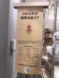 「【京都マニアック企業】今、京都はコオロギが熱い！？未来型『昆虫食』システム開発「バグモ（BugMo）」」の画像3