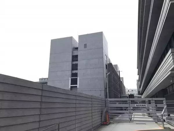 「【京都映画】地元目線でロケ地巡礼☆人気ドラマ『科捜研の女』劇場版が絶賛上映中！」の画像