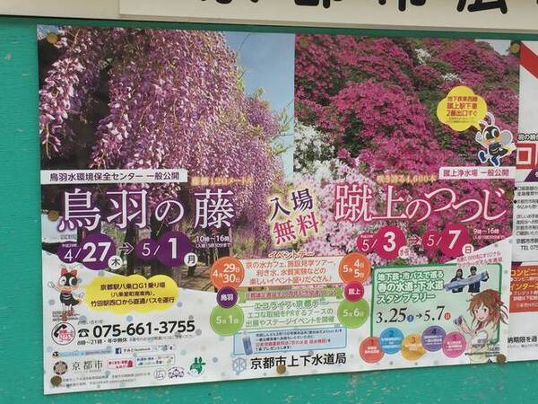 京都イベント 鳥羽の藤 蹴上のつつじ 一般公開が中止に 新型コロナの影響で 年4月15日 エキサイトニュース