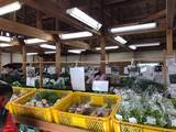 「【京都市場】料理人がこぞって買いに来る京野菜の名産地☆産直野菜がズラリ「里の駅大原」」の画像8
