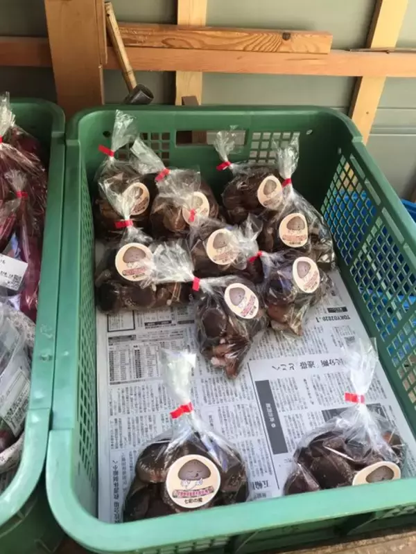 「【京都市場】料理人がこぞって買いに来る京野菜の名産地☆産直野菜がズラリ「里の駅大原」」の画像