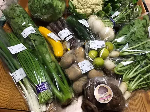 「【京都市場】料理人がこぞって買いに来る京野菜の名産地☆産直野菜がズラリ「里の駅大原」」の画像