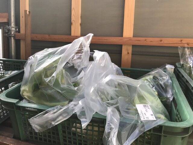 【京都市場】料理人がこぞって買いに来る京野菜の名産地☆産直野菜がズラリ「里の駅大原」
