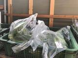 「【京都市場】料理人がこぞって買いに来る京野菜の名産地☆産直野菜がズラリ「里の駅大原」」の画像16
