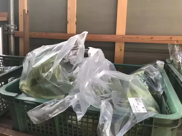 「【京都市場】料理人がこぞって買いに来る京野菜の名産地☆産直野菜がズラリ「里の駅大原」」の画像