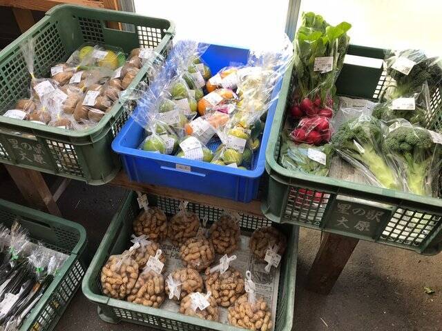 【京都市場】料理人がこぞって買いに来る京野菜の名産地☆産直野菜がズラリ「里の駅大原」