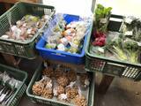 「【京都市場】料理人がこぞって買いに来る京野菜の名産地☆産直野菜がズラリ「里の駅大原」」の画像15