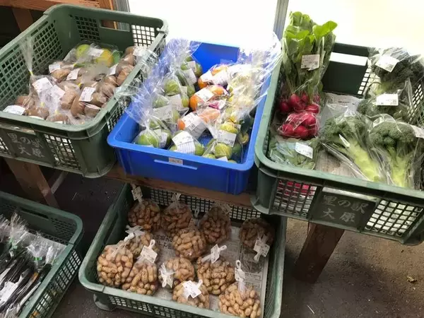 「【京都市場】料理人がこぞって買いに来る京野菜の名産地☆産直野菜がズラリ「里の駅大原」」の画像
