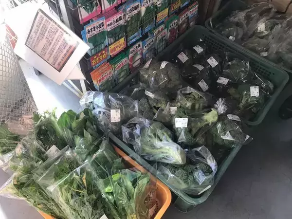 「【京都市場】料理人がこぞって買いに来る京野菜の名産地☆産直野菜がズラリ「里の駅大原」」の画像