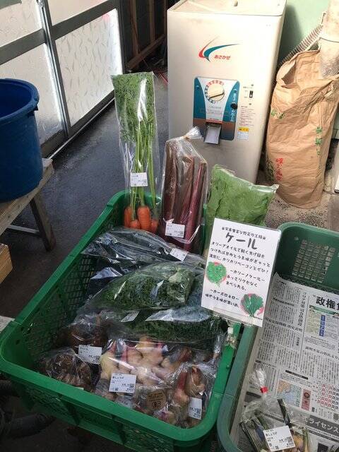 【京都市場】料理人がこぞって買いに来る京野菜の名産地☆産直野菜がズラリ「里の駅大原」