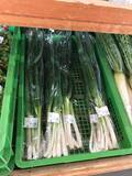 「【京都市場】料理人がこぞって買いに来る京野菜の名産地☆産直野菜がズラリ「里の駅大原」」の画像11