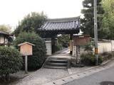 「【京都花めぐり】SNSでよく見かけるコスモスと鳥居ってどこ？嵯峨広沢「遍照寺」」の画像1