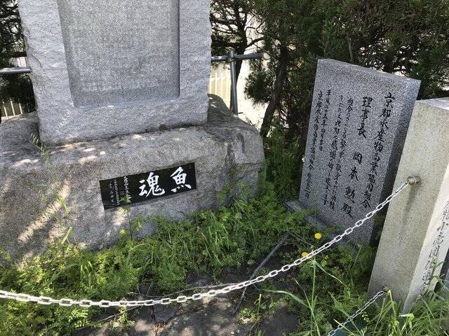 【京都ぶらり】桂川サイクルロードにある豊臣秀吉時代の水上交通要衝「魚市場遺跡」