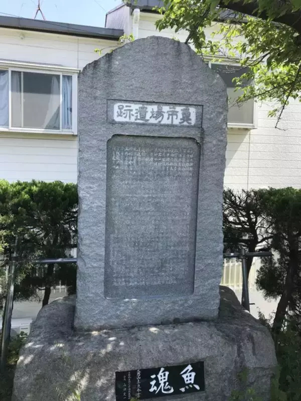 「【京都ぶらり】桂川サイクルロードにある豊臣秀吉時代の水上交通要衝「魚市場遺跡」」の画像