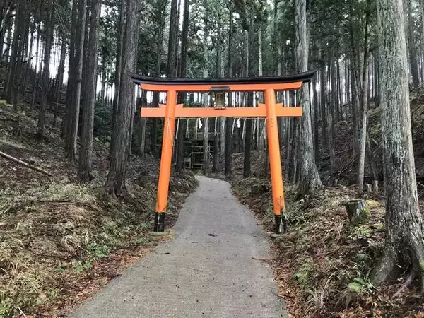 「【京都神社めぐり】京都一周トレイルコースの秘境！かつての宮中の氷製造貯蔵エリア☆「氷室神社」」の画像