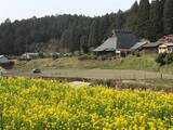 「【とっておきの京都】避暑地「大原の里」でのんびり観光」の画像1