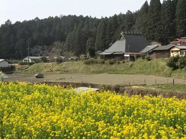 【とっておきの京都】避暑地「大原の里」でのんびり観光