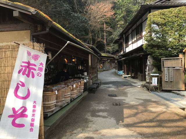 【とっておきの京都】避暑地「大原の里」でのんびり観光
