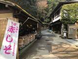 「【とっておきの京都】避暑地「大原の里」でのんびり観光」の画像4