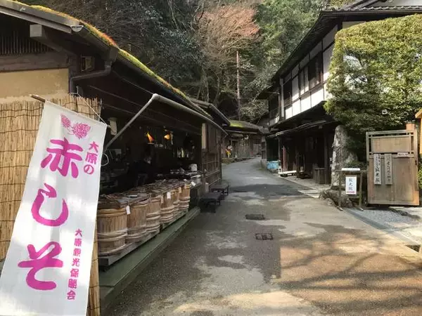 「【とっておきの京都】避暑地「大原の里」でのんびり観光」の画像