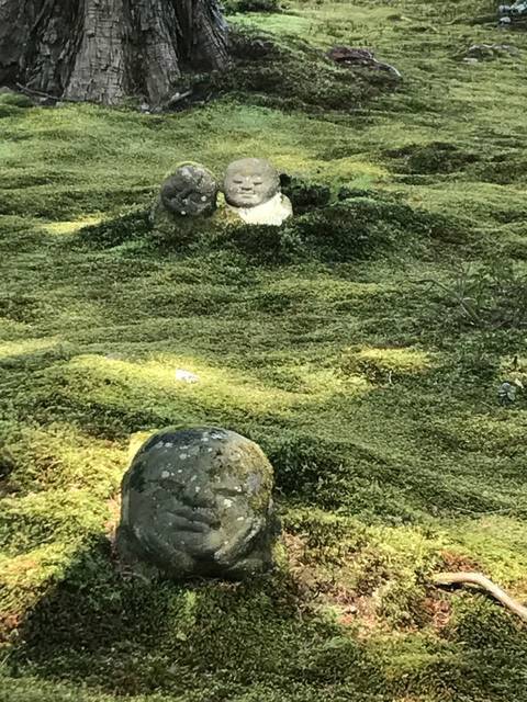 【とっておきの京都】避暑地「大原の里」でのんびり観光