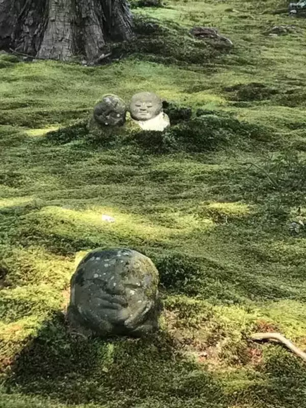「【とっておきの京都】避暑地「大原の里」でのんびり観光」の画像