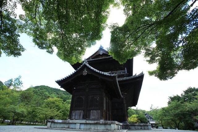 【南禅寺】古都の雅やかな夏の情景。穴場的な蓮池、壮大な三門と水路閣、青もみじ【京都花めぐり】