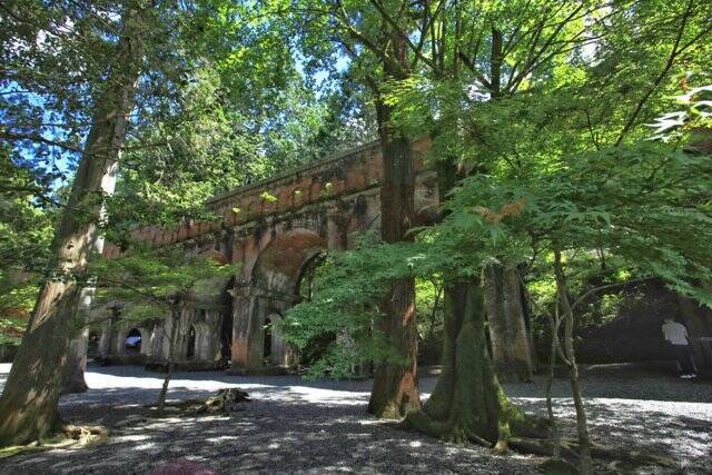 【南禅寺】古都の雅やかな夏の情景。穴場的な蓮池、壮大な三門と水路閣、青もみじ【京都花めぐり】
