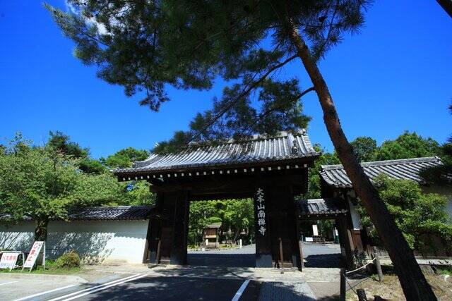 【南禅寺】古都の雅やかな夏の情景。穴場的な蓮池、壮大な三門と水路閣、青もみじ【京都花めぐり】