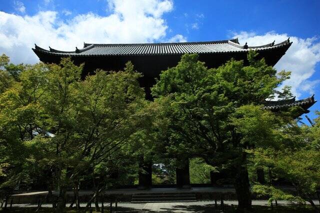 【南禅寺】古都の雅やかな夏の情景。穴場的な蓮池、壮大な三門と水路閣、青もみじ【京都花めぐり】